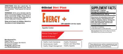 Official Diet Plan Energy +
