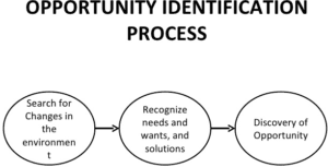 Business Opportunity Search and Identification