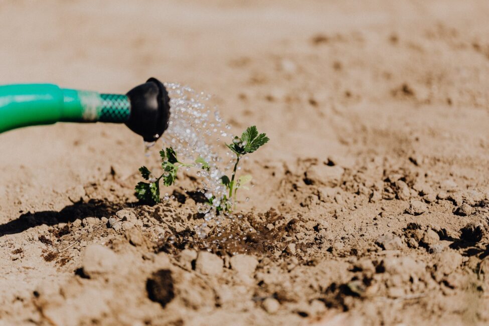 Irrigation Companies Near Me: A Guide To Finding The Best Services
