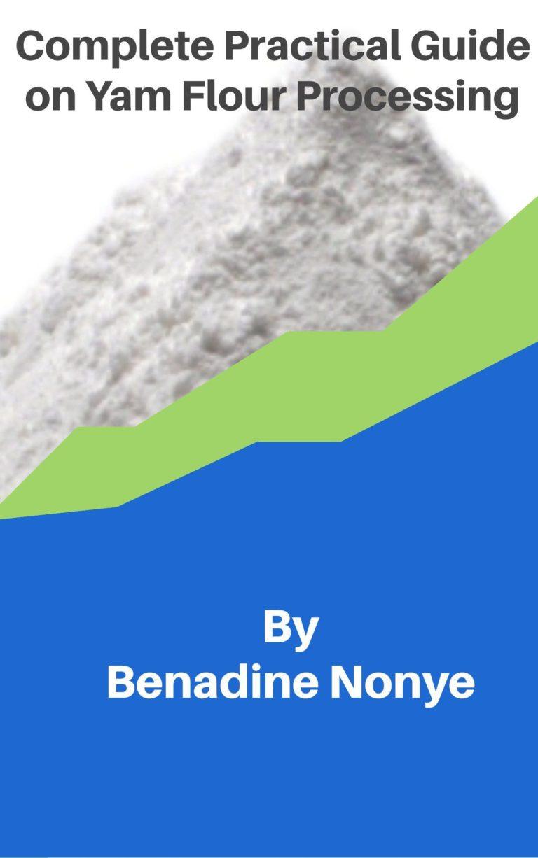 Complete Practical Guide on Yam Flour Processing - WorldMarketSite