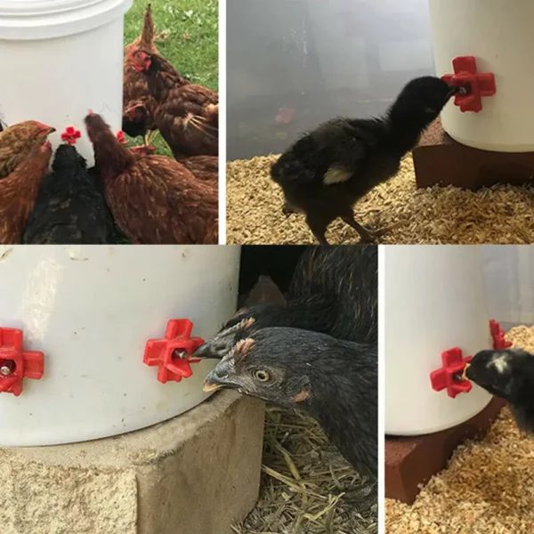 10pcs Poultry Drinker Horizontal Side Mount Chicken Nipples Waterer Automatic Poultry Drinker Farming Feeding Equipment