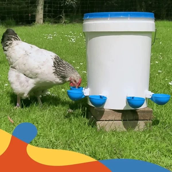 1Pcs Automatic Chicken Water Feeder Drinking Cups Poultry Kit for Chicks Duck Goose Turkey Quail Feeding & Watering Supplie