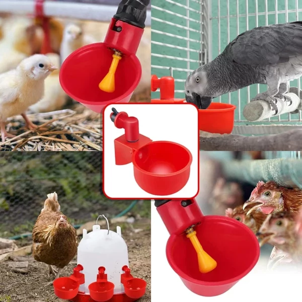 5/10PCS Automatic Chicken Water Feeder Drinking Cups Poultry Kit for Chicks Duck Goose Turkey Quail Feeding Watering Supplie