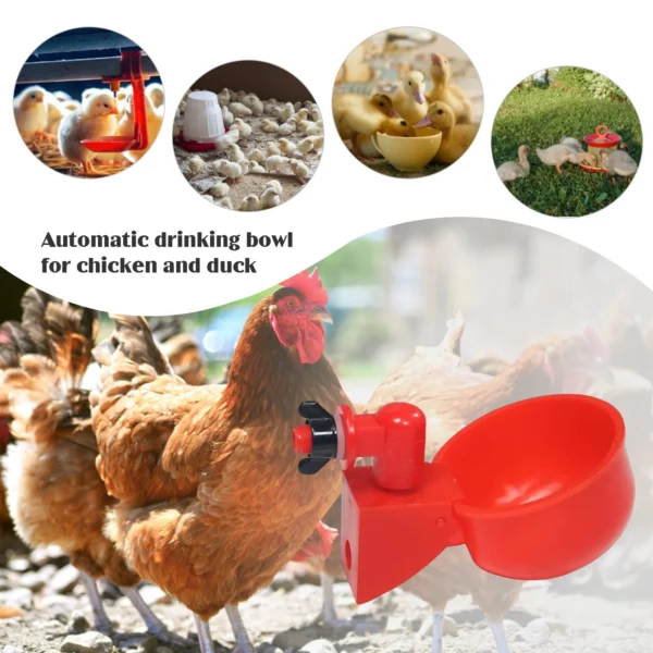 6-36Pcs Chicken Duck Drinking Cup Automatic Drinker Chicken Feeder Plastic Poultry Farm Water Drinking Cups Easy Installation