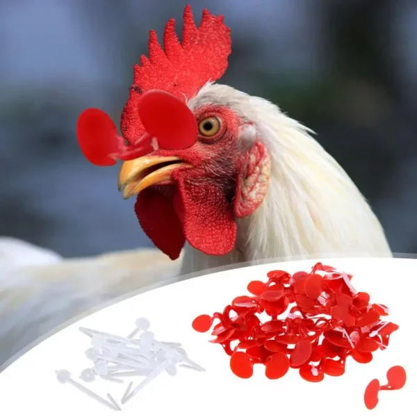 60 Pieces Pinless Chicken Anti-Pecking Eyes Glasses With Bolt Durable Chicken Hen Rooster Equipment Supplies Poultry Spectacles