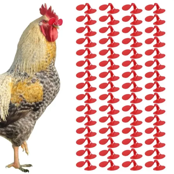 60 Pieces Pinless Chicken Anti-Pecking Eyes Glasses With Bolt Durable Chicken Hen Rooster Equipment Supplies Poultry Spectacles