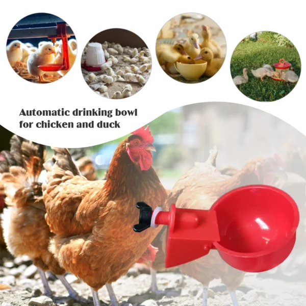 6Pcs Poultry Drinking Bowl Feeder Automatic Livestock Feeding Watering Supplies Farm Animal Drinking Water Feeder