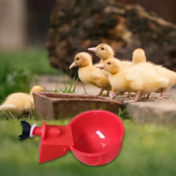 6Pcs Poultry Drinking Bowl Feeder Automatic Livestock Feeding Watering Supplies Farm Animal Drinking Water Feeder