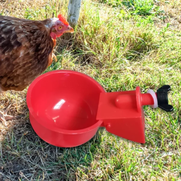 6Pcs Poultry Drinking Bowl Feeder Automatic Livestock Feeding Watering Supplies Farm Animal Drinking Water Feeder