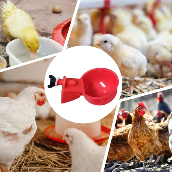 6Pcs Poultry Drinking Bowl Feeder Automatic Livestock Feeding Watering Supplies Farm Animal Drinking Water Feeder