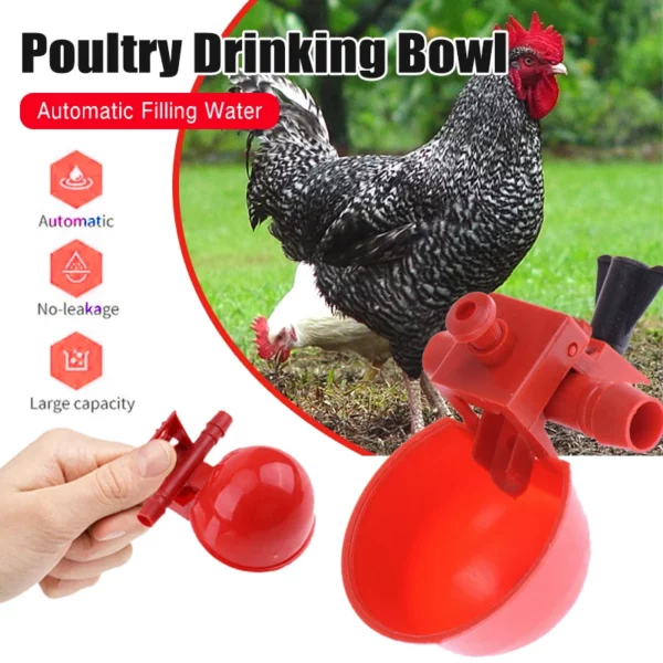 Automatic Chicken Drinker Bowl Duck Drinking Cup Chicken Feeder Plastic Poultry Bowls And Drinkers Cups Water Drinking Tools