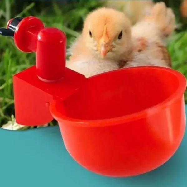 Automatic Chicken Drinker Bowl Duck Drinking Cup Chicken Feeder Plastic Poultry Bowls And Drinkers Cups Water Drinking Tools