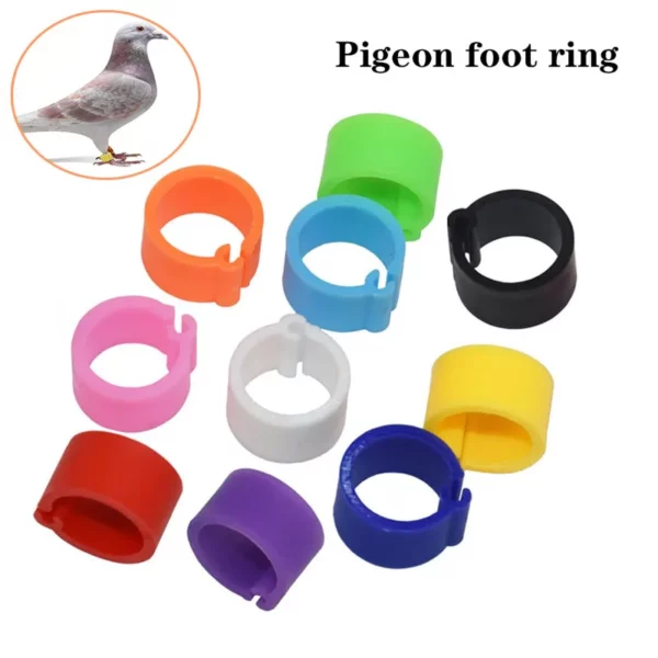 Chicken Foot Rings Label Clasp Plastic Adjustable Poultry Leg Snap Ratchet Clip Digital Duck Pigeon Goose Farm Feed Tool 25/100