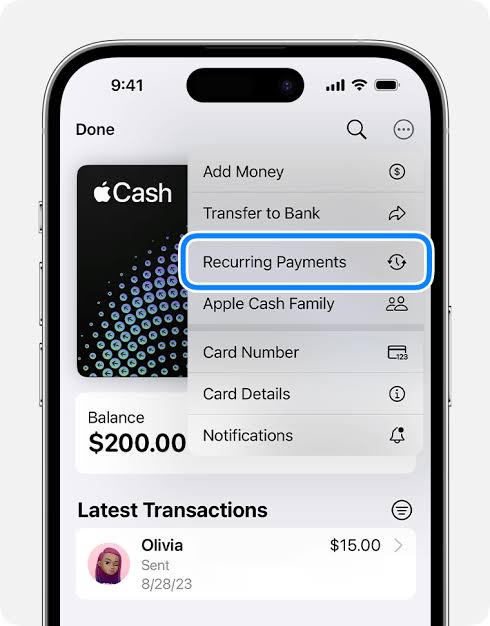 Step-By-Step Guide to Using Apple Pay at a Store