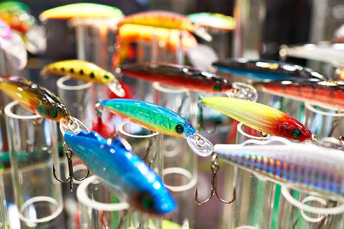 How to Find the Perfect Bait Shop for Your Fishing Needs