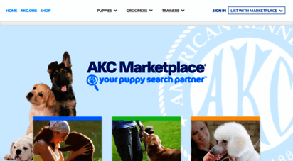 The Ultimate Guide to Shopping at the AKC Marketplace