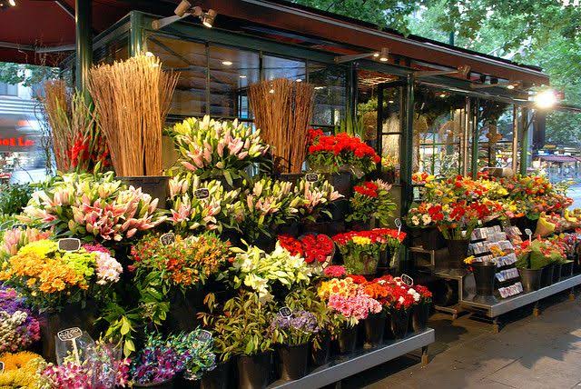 How to Locate the Best Flower Shop in Town