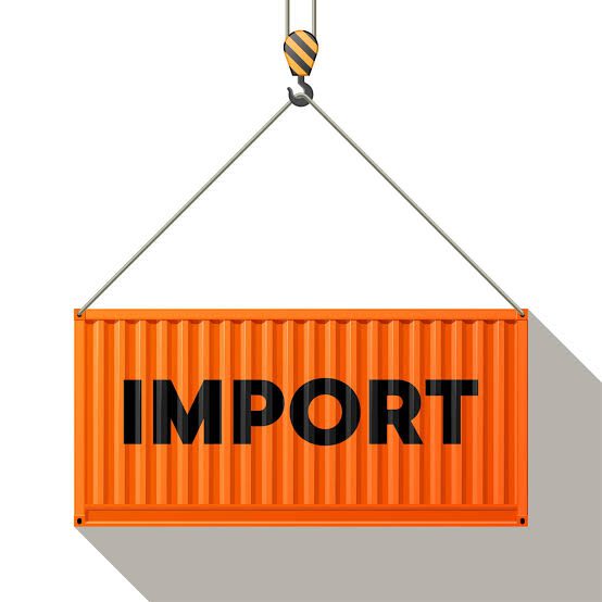 What is the Most Likely Aim of the US Government in Taxing Imported Goods?