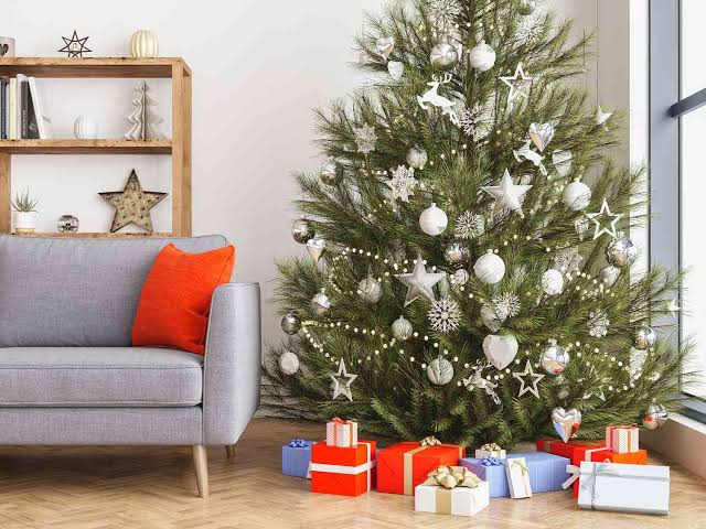 How to Locate the Cheapest Christmas Tree Shop Near You 