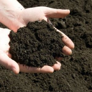 Agric4Profits Vermicompost (Worm Castings)