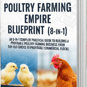 Poultry Farming Empire Blueprint